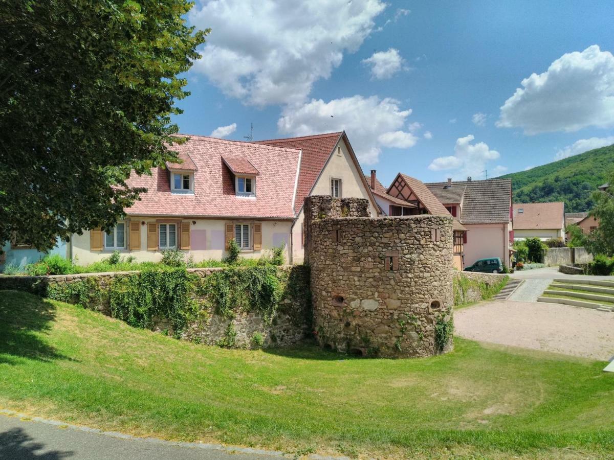 La Grande Terrine - Gites Les Potiers Кезерсберг Екстер'єр фото